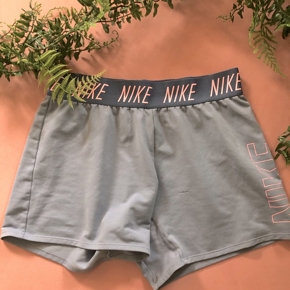 🪴nike shorts